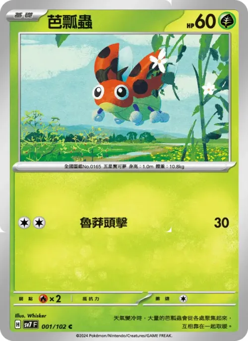 芭瓢蟲