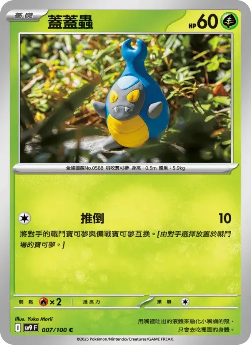 蓋蓋蟲
