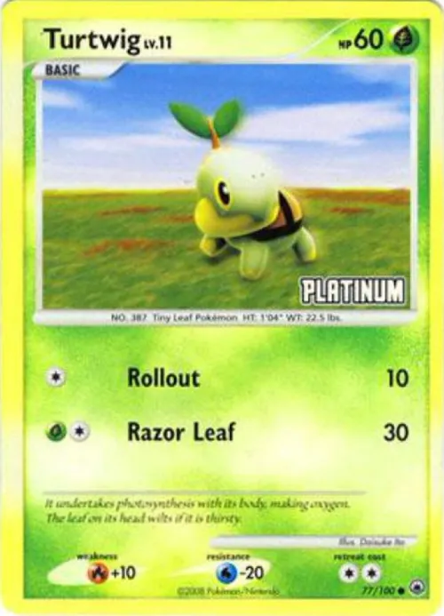 Turtwig