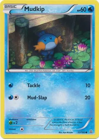Mudkip