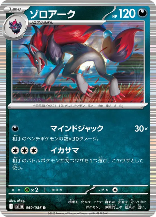 Zoroark - Master Ball Pattern