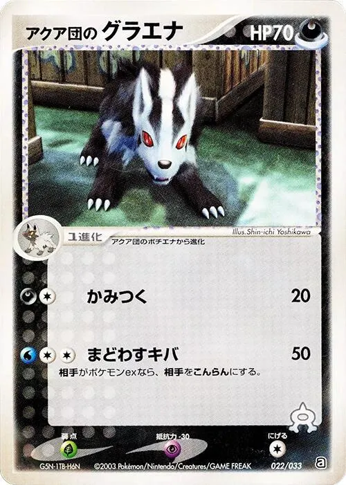 Team Aqua's Mightyena