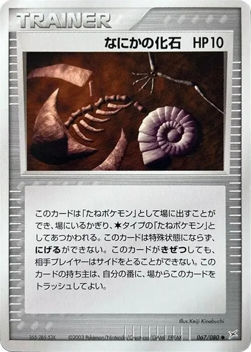 Mysterious Fossil - 1st Edition