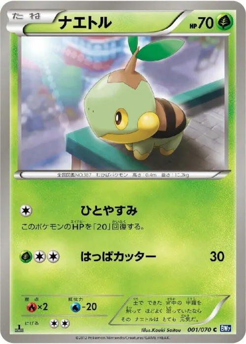 Turtwig - 1st Edition