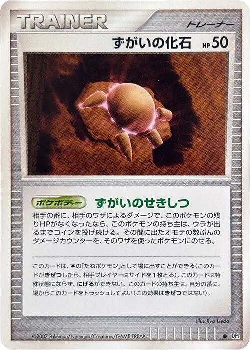 Skull Fossil - 1st Edition