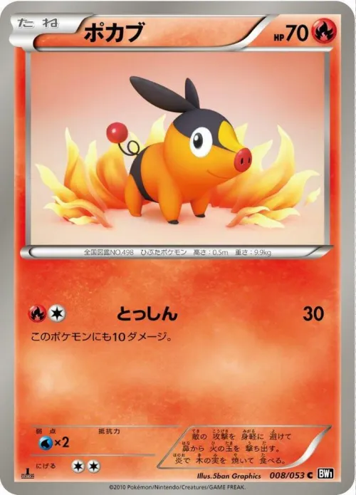 Tepig - 1st Edition
