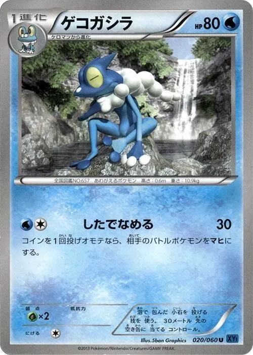 Frogadier - 1st Edition