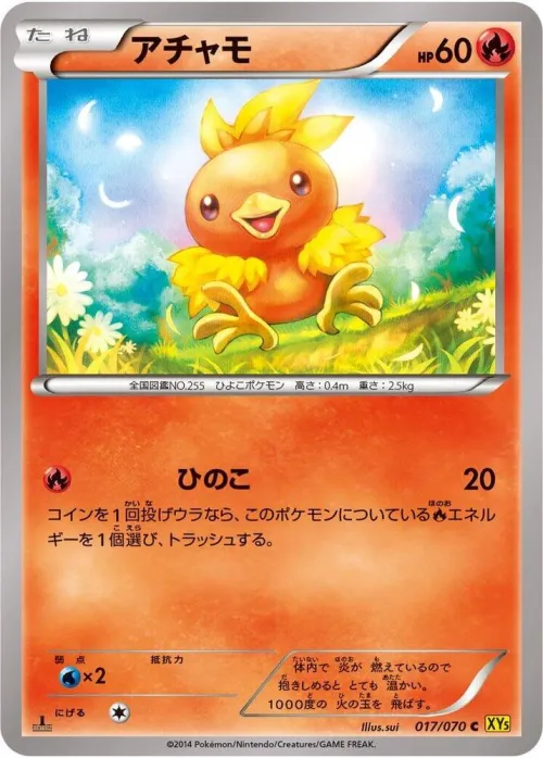 Torchic - 1st Edition