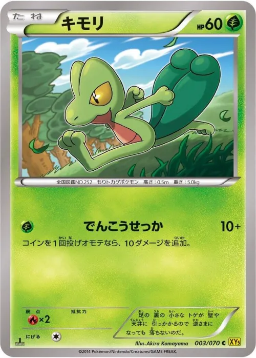 Treecko - 1st Edition