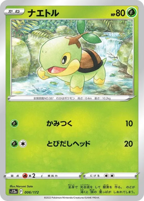 Turtwig