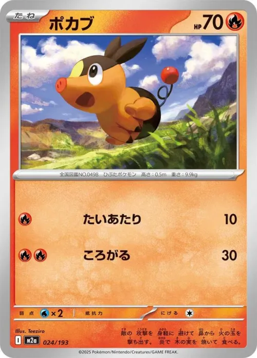 Tepig - Energy Symbol Pattern