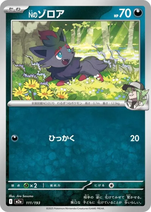 N's Zorua - Energy Symbol Pattern