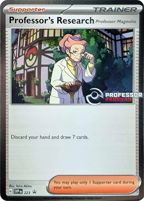 Professor's Research