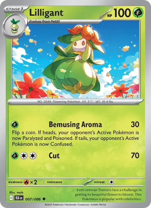 Lilligant - Master Ball Pattern