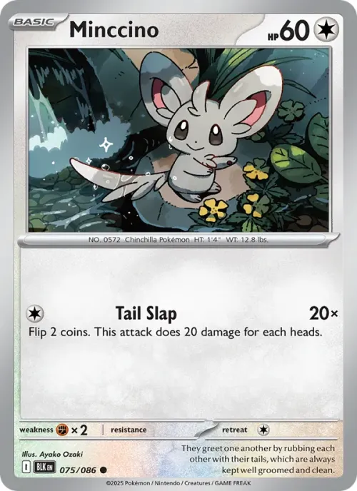 Minccino - Reverse Holo