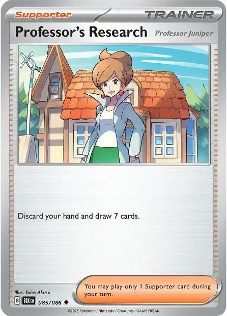 Professor's Research