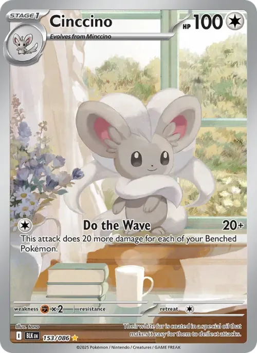 Cinccino