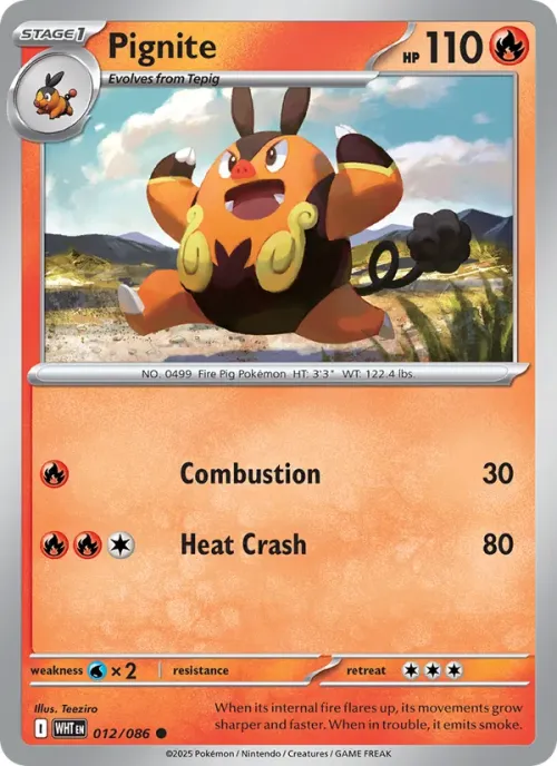 Pignite - Master Ball Pattern