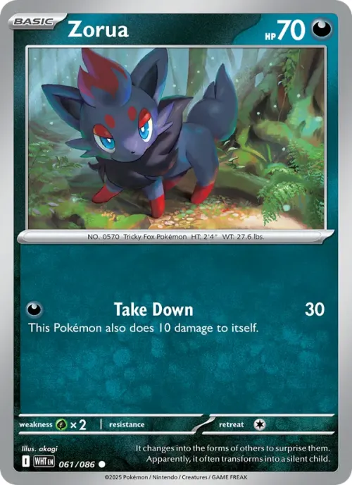 Zorua - Master Ball Pattern