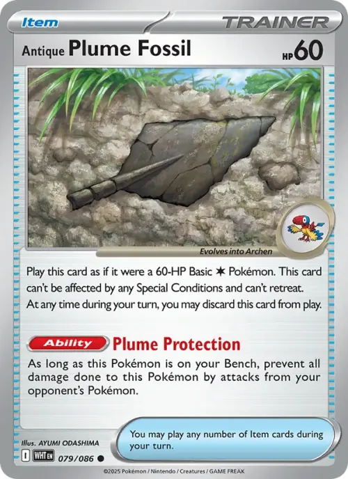 Antique Plume Fossil - Reverse Holo