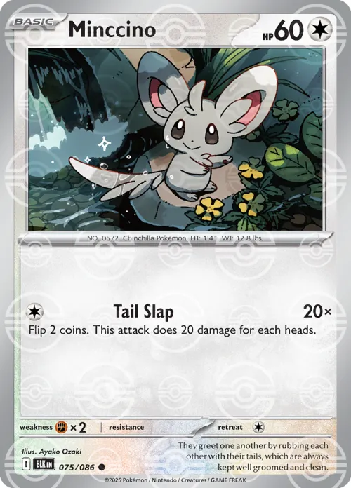 Minccino - Poke Ball Pattern