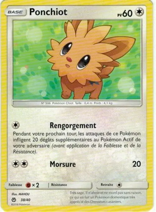 Lillipup