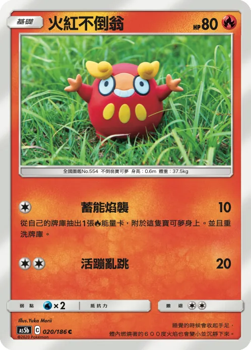 Darumaka