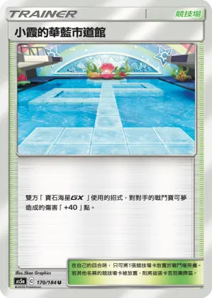 Misty's Cerulean City Gym