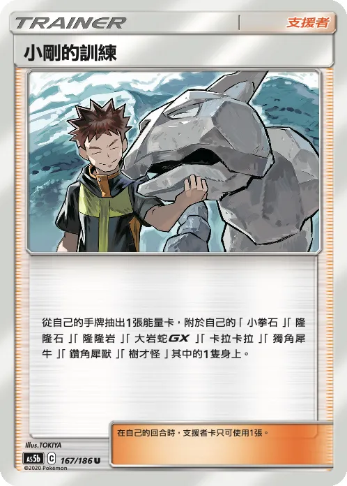 Brock's Training
