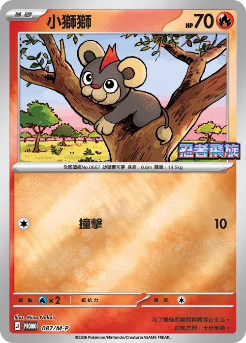 Litleo
