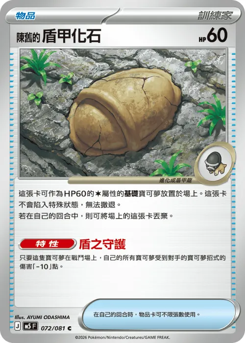 Antique Armor Fossil