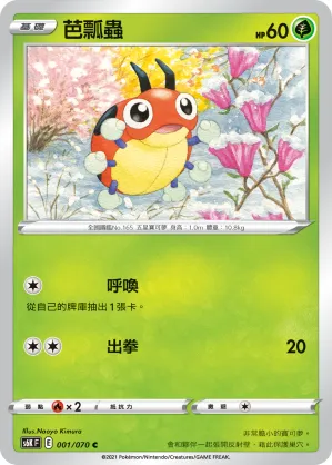 Ledyba