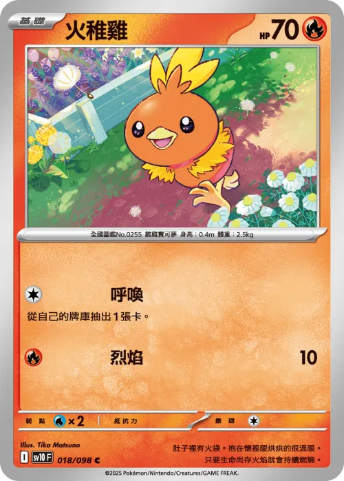 Torchic