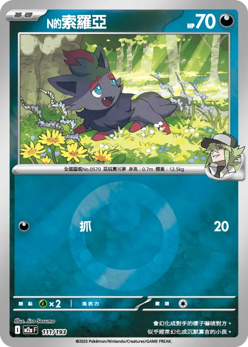 N's Zorua - Energy Symbol Pattern