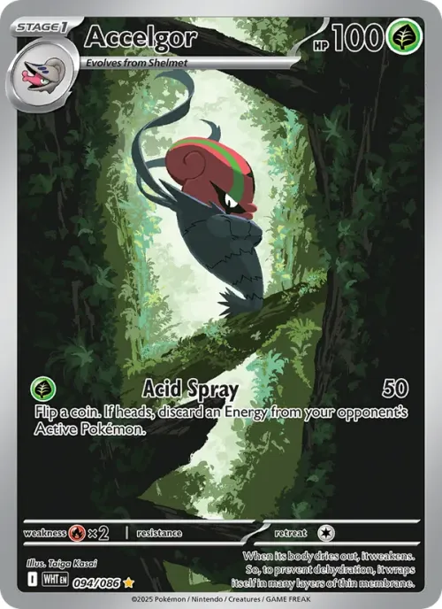 Accelgor