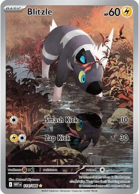Blitzle