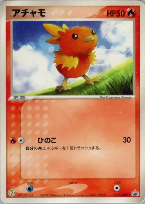 Torchic