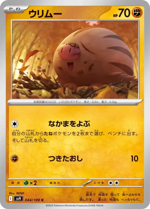 Swinub