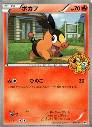 Tepig