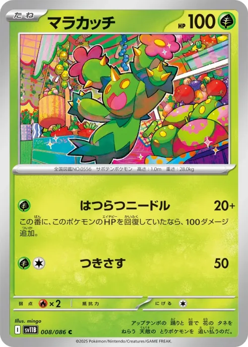 Maractus