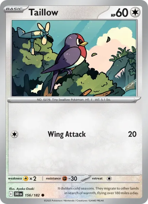 Taillow - Reverse Holo