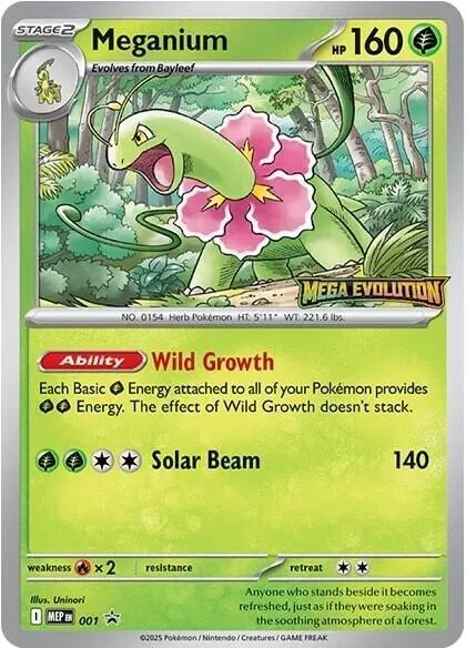 Meganium - Holo