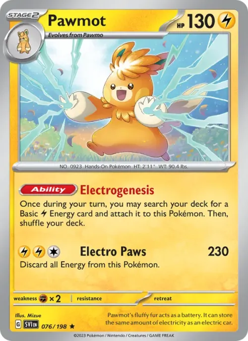 Pawmot - Reverse Holo