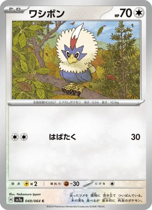 ワシボン