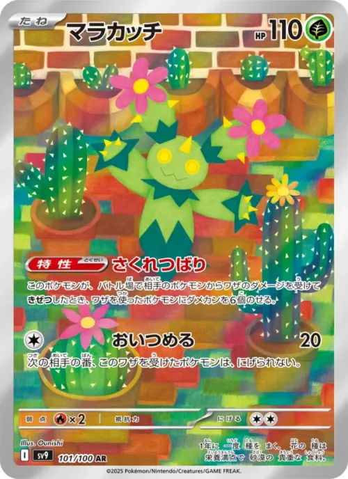 マラカッチ