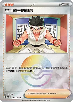 Black Belt's Training - Poke Ball Pattern