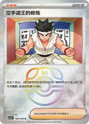 Black Belt's Training - Master Ball Pattern