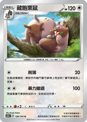 藏飽栗鼠