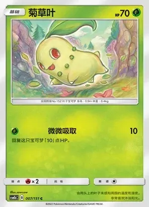 Chikorita