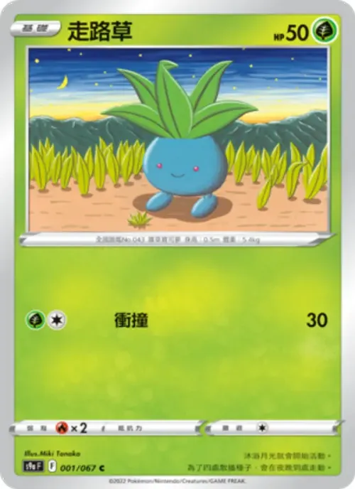 走路草